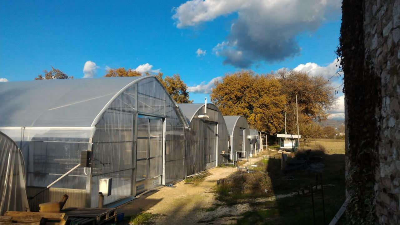 Agriturismo " Le Serre" Spello Eksteriør billede