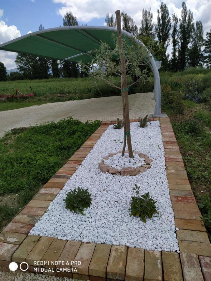 Agriturismo " Le Serre" Spello Eksteriør billede