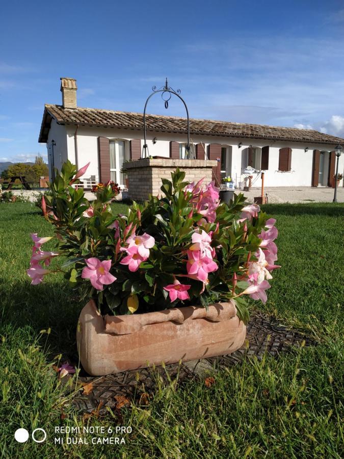 Agriturismo " Le Serre" Spello Eksteriør billede