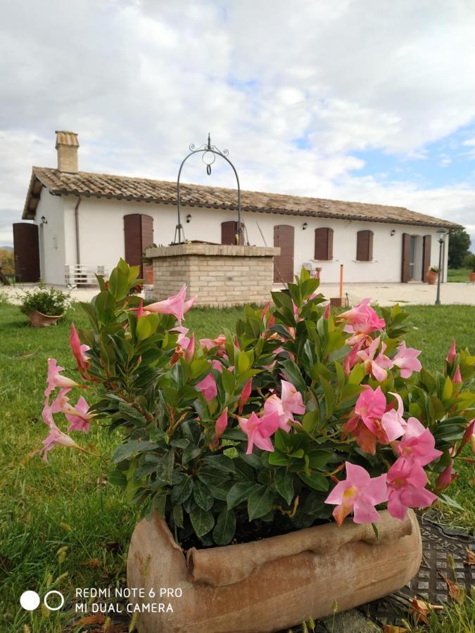 Agriturismo " Le Serre" Spello Eksteriør billede